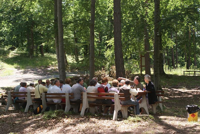 Rast im Wald